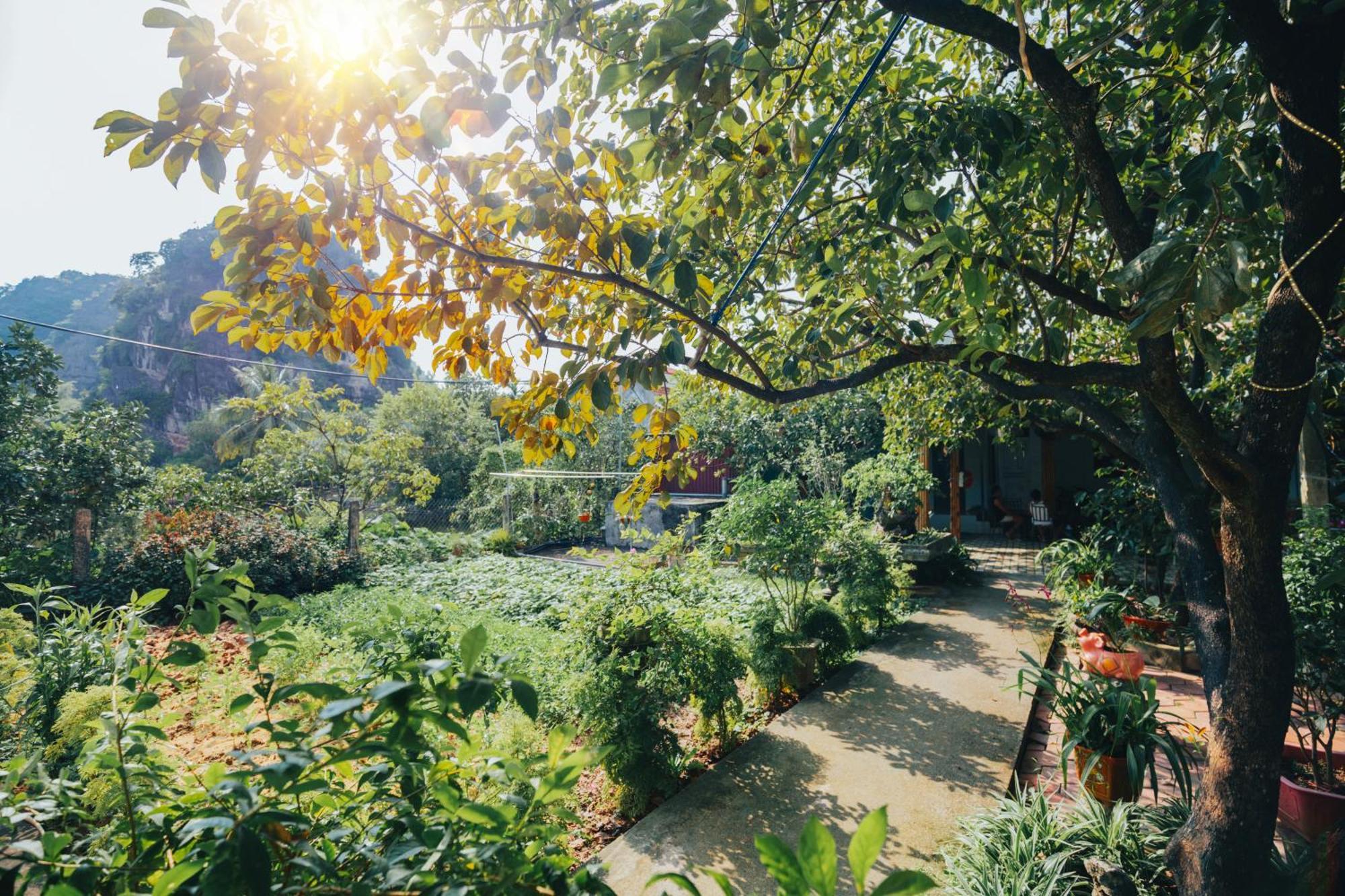 Blue Garden Homestay นิญบิ่ญ ภายนอก รูปภาพ