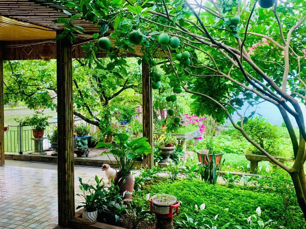 Blue Garden Homestay นิญบิ่ญ ภายนอก รูปภาพ