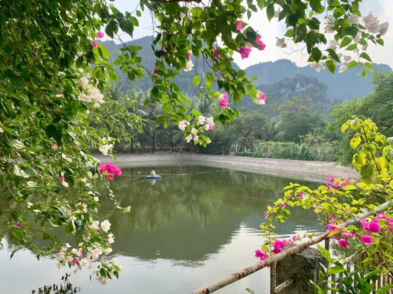Blue Garden Homestay นิญบิ่ญ ภายนอก รูปภาพ