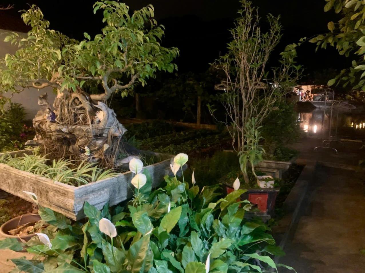 Blue Garden Homestay นิญบิ่ญ ภายนอก รูปภาพ