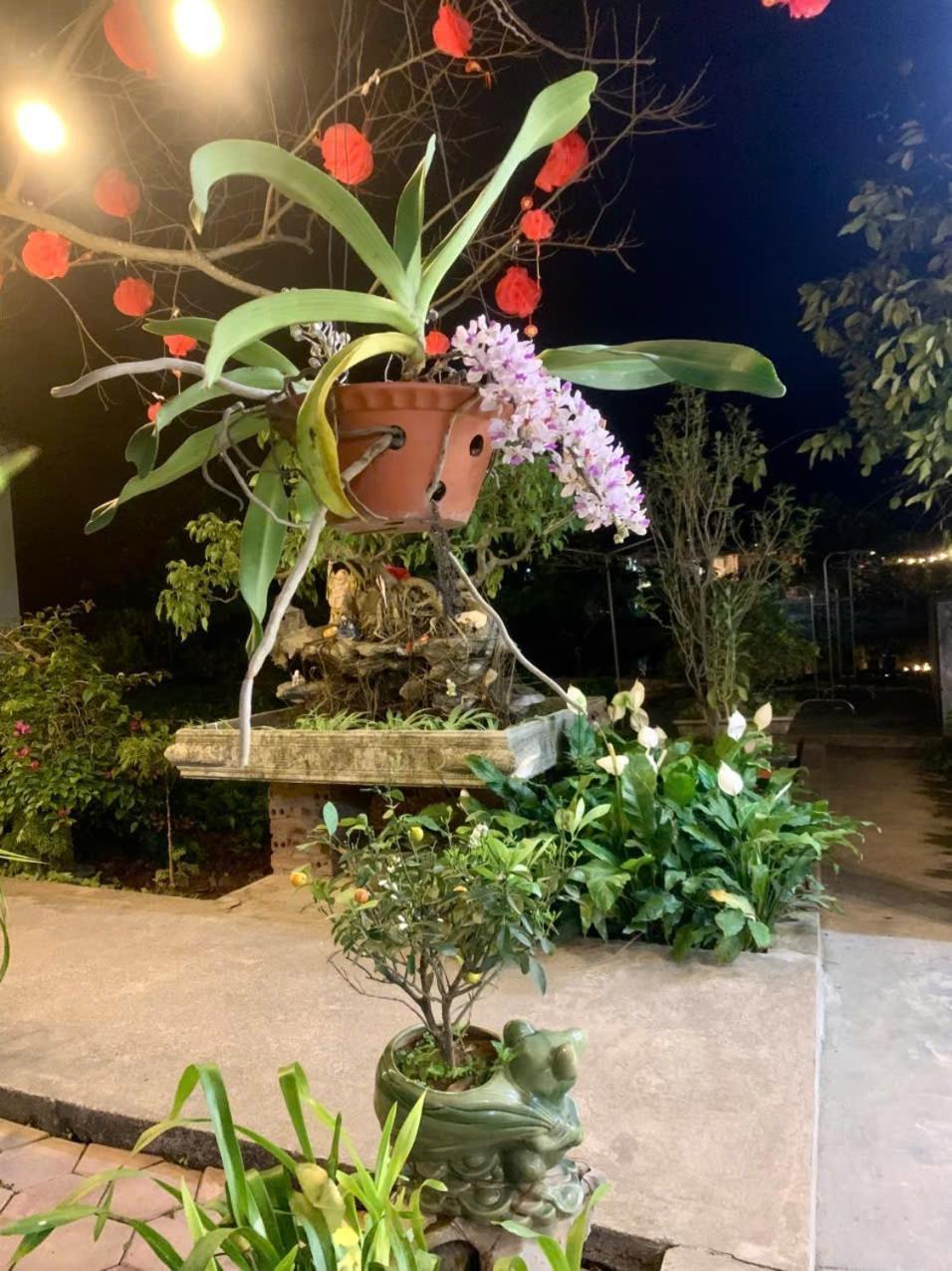 Blue Garden Homestay นิญบิ่ญ ภายนอก รูปภาพ