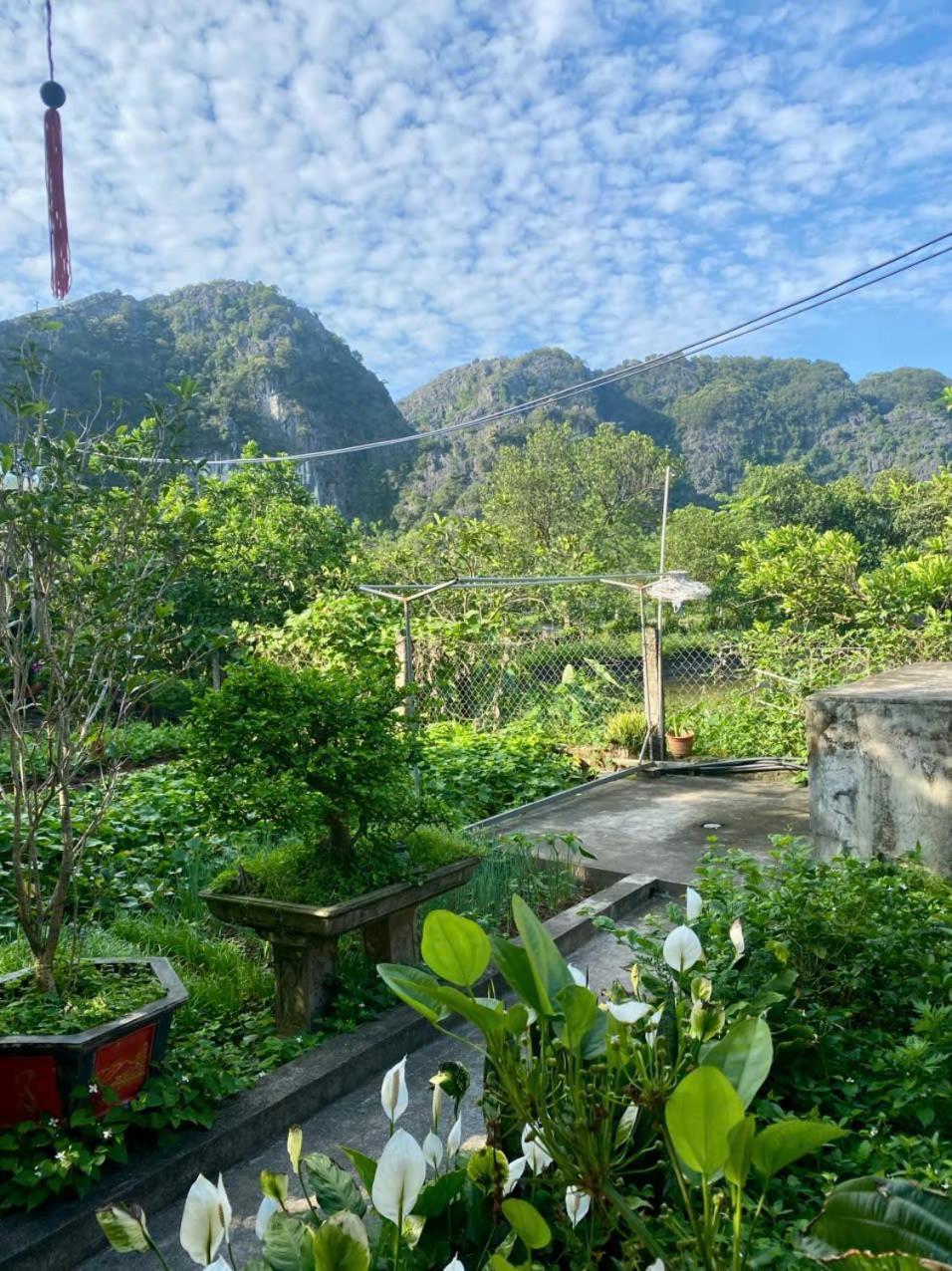 Blue Garden Homestay นิญบิ่ญ ภายนอก รูปภาพ