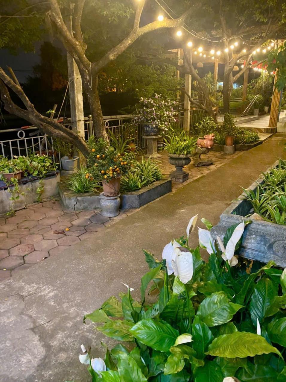 Blue Garden Homestay นิญบิ่ญ ภายนอก รูปภาพ