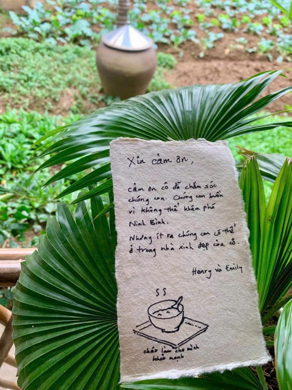 Blue Garden Homestay นิญบิ่ญ ภายนอก รูปภาพ