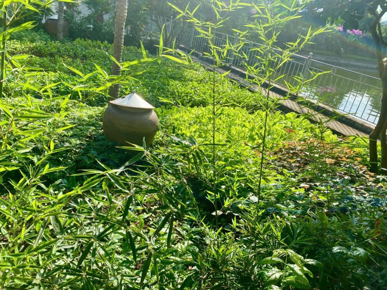 Blue Garden Homestay นิญบิ่ญ ภายนอก รูปภาพ